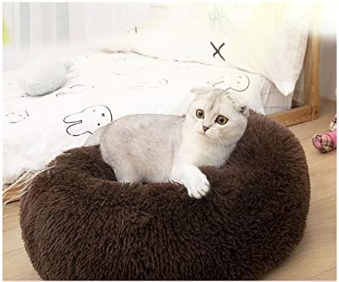 Cat Bed for Indoor Cats,Mini Plush Self Warming Kitten Bed, 20 Inch
