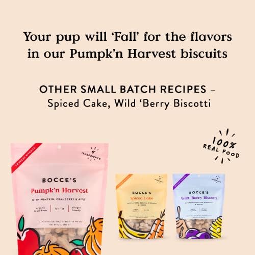 Bocce's Bakery Natural, Small Batch, Organic Dog Treats, Pumpk'n Harvest Biscuits, Wheat-Free, Limited-Ingredient, Made in The USA with 100% Recyclable Packaging, 12 oz Bag