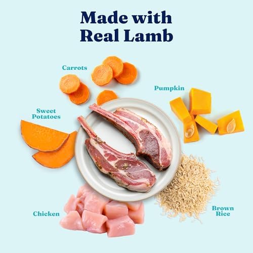 Solid Gold Lamb Wet Dog Food for Adult & Senior Dogs, Meal & Topper, 6 Cans