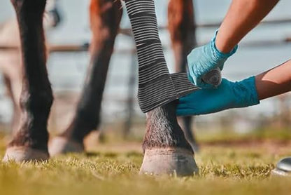 Elastic Compression Bandage Wrap for Horses, Adjustable Equine Leg Support, Breathable Stretch Wrap for Tendon, Ankle, Hock, Swelling