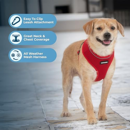 Best Pet Supplies Voyager Aerolite Over the Head Dog Harness, No Pull Breathable Air Mesh Vest, Quick Dry with Reflective Stitching, Adjustable Escape Resistant Harness - Red, Small