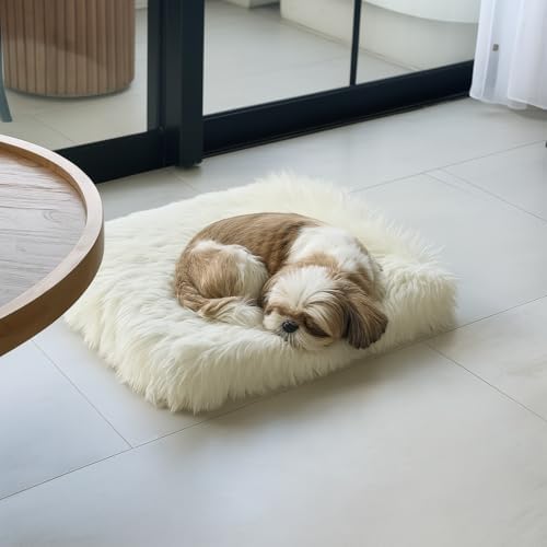 Faux Fur Orthopedic Rectangular Dog Bed, Memory Foam, White Small 23"x18"
