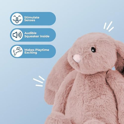 Best Pet Supplies Bunny Buddy Squeaky Plush Dog Toy - Mauve, Small