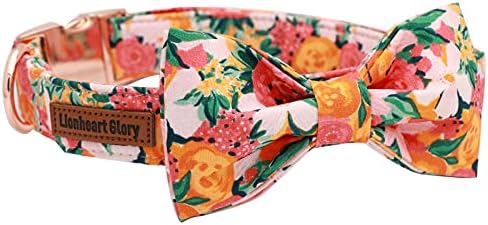 Lionheart glory Premium Floral Dog Collars, Bowtie Dog Collar, Adjustable Heavy Duty Girl Dog Collar with Bow for Small Dogs