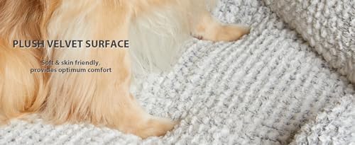 LEXTRO XL Orthopedic Dog Bed, Washable Dog Sofa Bed for Extra Large Dogs