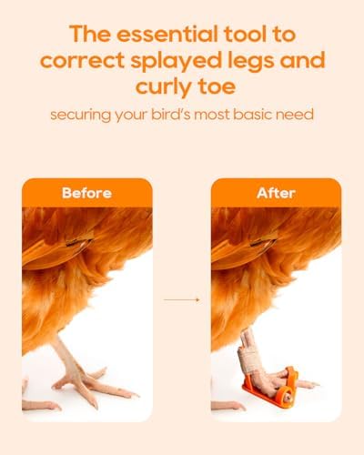 6Pcs Chicken Leg Splints, 3 Sizes (S/M/L) Adjustable Splint for Bumblefoot Treatment, Broken Feet, Splay Leg, Curled Toes, Osteoarthritis in Hens, All Growth Stages Covered, Orange Black and Red