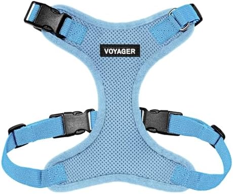 Voyager Step-in Lock Dog Harness - Baby Blue, Large