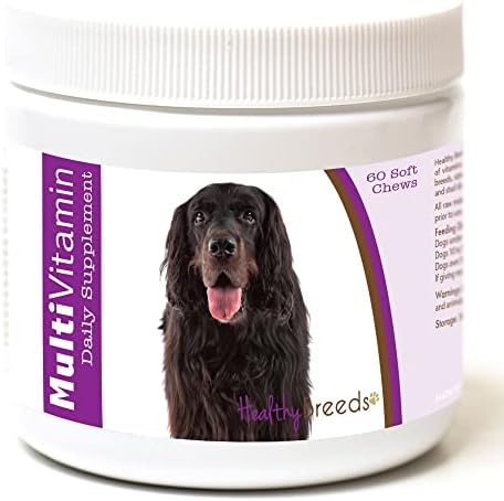 Healthy Breeds Gordon Setter Multi-Vitamin Soft Chews 60 Count (1127-gset-001)