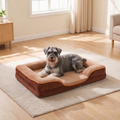 NEWBULIG 35x25 Inch Orthopedic Dog Bed for Indoor Use, Soft Surface
