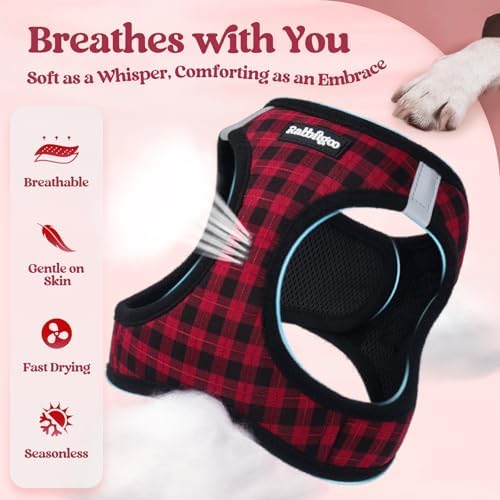 rabbitgoo Dog Harness Small Sized and Leash Set, Step-in Puppy Pet Vest
