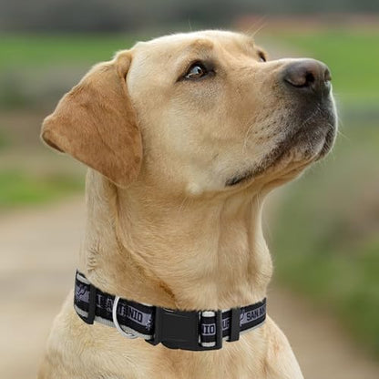 Pets First NBA PET Collar SAN ANTONIO SPURS Dog Collar, Size Large Basketball Team Collar for Dogs & Cats. A Shiny & Colorful Dog & Cat Collar Licensed by the NBA
