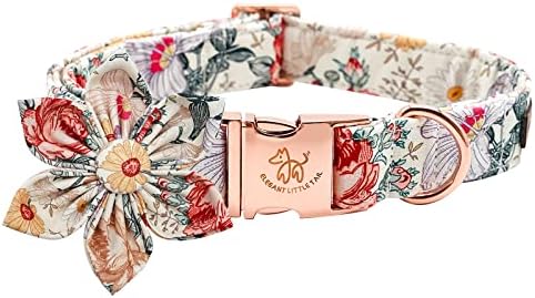 Elegant Little Tail Vintage Floral Dog Collar with Comfortable Adjustable Sizes for Small to Large Dogs