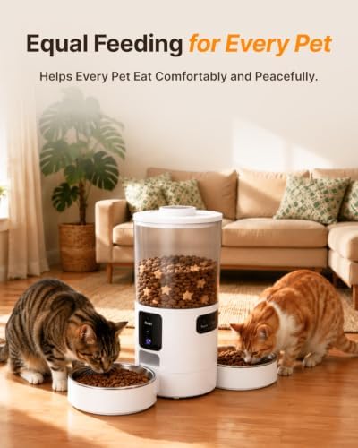 Dual-Camera Automatic Pet Feeder with 2 Bowls, 6L Smart Feeder for 2 Cats