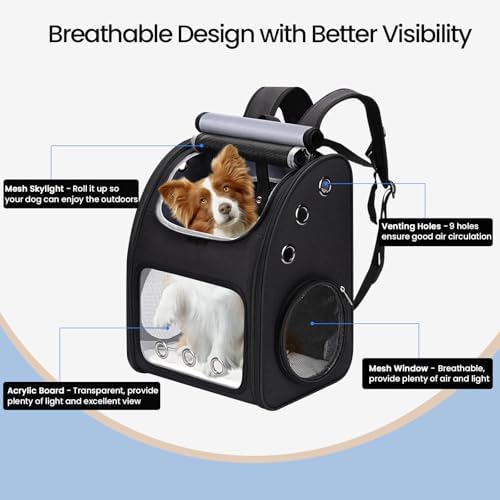 Expandable Cat Backpack Carrier for Small Cats & Pets Up to 18 lbs