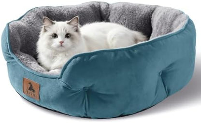 Asvin Small Dog Bed for Small Dogs, Cat Beds for Indoor Cats, Pet Bed for Puppy and Kitty, Extra Soft & Machine Washable with Anti-Slip & Water-Resistant Oxford Bottom, Teal, 20 inches