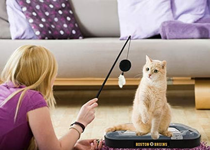 Pets First NHL Boston Bruins Hockey Field Scratching Pad with Interactive Cat Ball Bell Toy Set