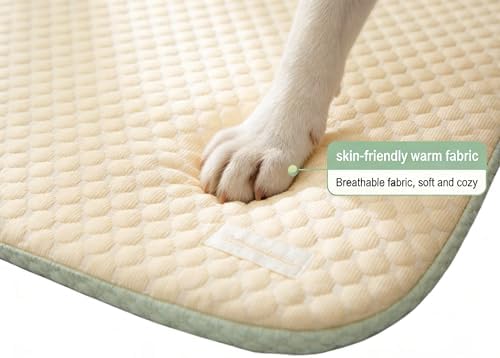 L-Shaped Pet Bed Mat with Pillow, Breathable Machine Washable Cushion for Cats, Kittens, Small Pets (Beige)