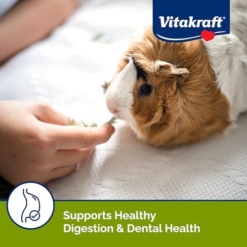 Vitakraft Vita Smart Guinea Pig Food 4 lb.