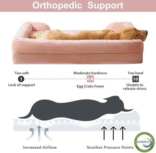 WNPETHOME Orthopedic Washable XXL Dog Bed for Senior Dog Cozy Sleep