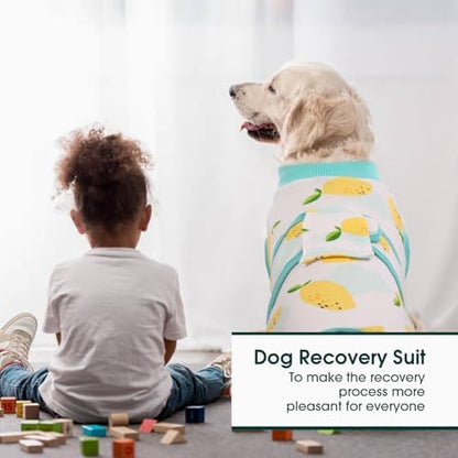 Kuoser Recovery Suit for Dogs Cats, Soft Dog Surgery Suit Female Male Spay