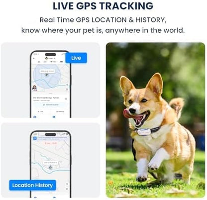 AI GPS Dog Tracker, Virtual Fence & AI Health Monitor, Waterproof