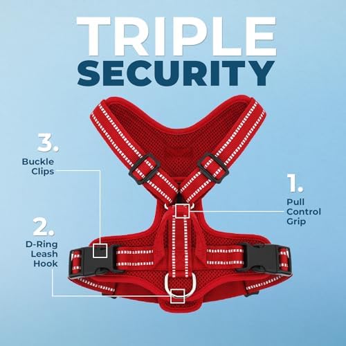 Air Frontier Mesh Dog Harness with Steel Leash D-Ring, Reflective Stitching, and Lightweight Breathable No-Pull Design, Adjustable Neck and Chest Straps for Small to Large Breeds - RDW, XS