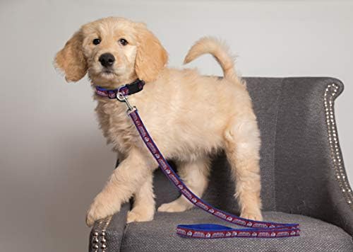 Pets First NHL Colorado Avalanche Leash for Dogs & Cats, Walk Cute & Stylish! The Ultimate Hockey Fan Leash!, Large (6 ft Long x 1 in Width) (AVA-3031-LG)