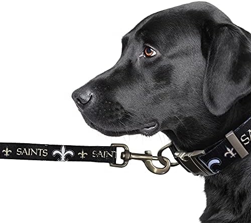 Littlearth NFL Unisex NFL Premium Pet Leash
