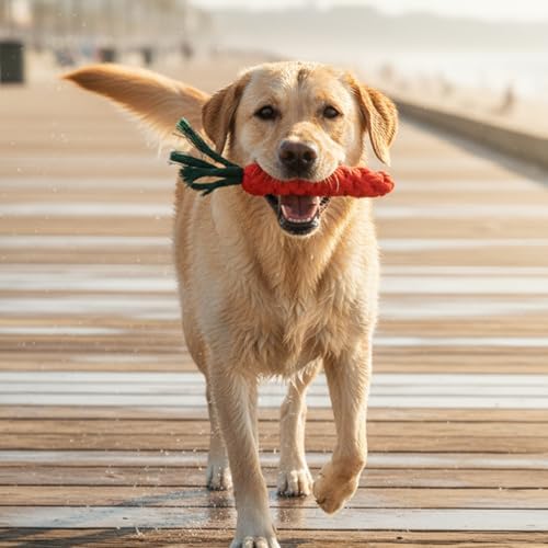 3 Pcs Dog Toy Carrot, Cotton Woven Puppy Teething Rope Toys for Dogs Cats Safe Braided Rabbit Toys Dental Cleaning Chew Toy for Small Pets Aggressive Chewers Entertainment & Interaction