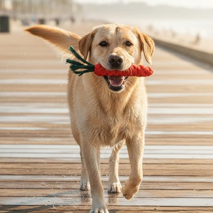 3 Pcs Dog Toy Carrot, Cotton Woven Puppy Teething Rope Toys for Dogs Cats Safe Braided Rabbit Toys Dental Cleaning Chew Toy for Small Pets Aggressive Chewers Entertainment & Interaction