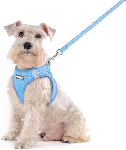 rabbitgoo Dog Harness Medium Sized and Leash Set, Step-in Puppy Pet Vest