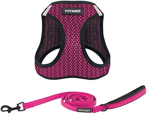 Best Pet Supplies Voyager Step-in Air All Weather Mesh Harness and Reflective Dog 5 ft Leash Combo with Neoprene Handle, for Small, Medium and Large Breed Puppies - Fuchsia (2-Tone), XS