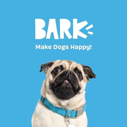 BarkBox Cheese Dog Toy - Toy for Medium Dogs