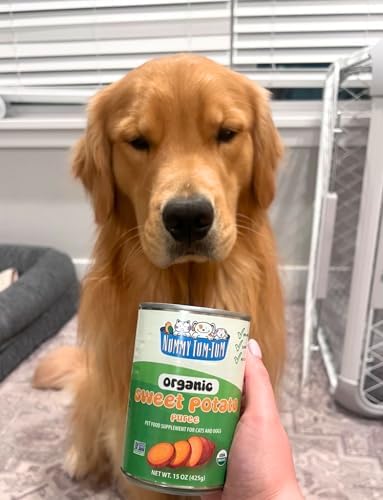 Nummy Tum Tum Organic Sweet Potato Puree For Pets, 15 Oz (Pack of 12)