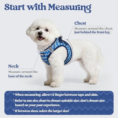 rabbitgoo Dog Harness Small Sized and Leash Set, Step-in Puppy Pet Vest