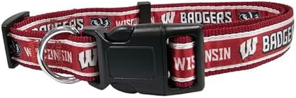 Pets First Collegiate PET Collar NEW VERSION Wisconsin Badgers Dog Collar, Size Medium. Best Sports Team Color for Dogs & Cats. A Shiny & Colorful Dog & Cat Collar Licensed by The NCAA