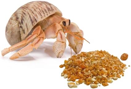Florida Marine Research SFM00007 Hermit Crab Treat, 1.5-Ounce