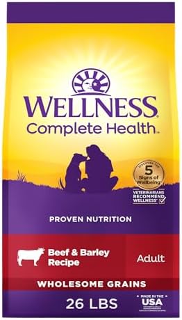 Wellness Complete Health Adult Dry Dog Food, Wholesome Grain Kibble, Natural, Beef and Barley Recipe, 26 lb Bag