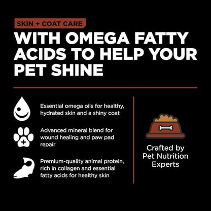 Go! Solutions Skin + Coat Care Salmon Large Breed Dry Dog Food with Grains, Chicken-Free, Healthy Kibble, Glucosamine & Chondroitin for Healthy Hips & Joints, for Adults & Seniors, 25 lb Bag