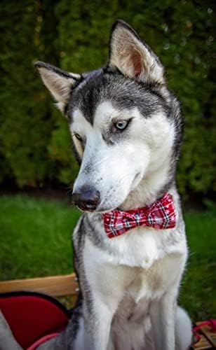 Lionheart glory Christmas Plaid Dog Collar Adjustable Soft Dog Collar with Bowtie, Pet Gift Dog Collars Bow for Small Medium Large Dogs