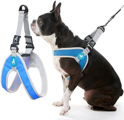 Gooby Simple Step-in III Dog Harness, Blue, Large