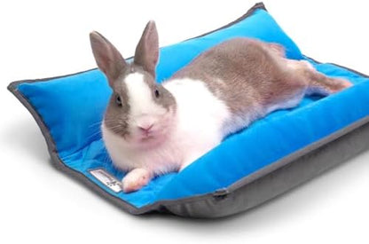 Paw Inspired Snuggle Bunny Bolster Bed, Gray/Blue, 17x17 Inch