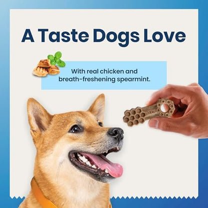 Blue Buffalo Chicken & Spearmint Small Dental Chews, 84 ct, 34 Ounce (Pack of 3)