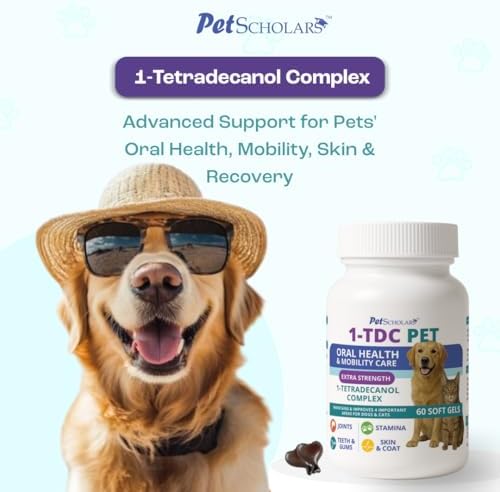 1TDC Dental & Joint Health Softgel Supplement for Dogs & Cats, Supports Oral Health, Stamina, Mobility, Muscle Strength & Recovery, Maintains Skin & Coat Health of Pets (60 Soft Gels)