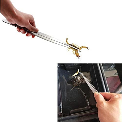 3in1 Feeding Tool Reptile Feeding Tongs Cricket Clamp Bug Scooper, Cleaning Supplies Scooper+ 2x Tweezers for Reptile, Hedgehog, Hamsters, Guinea Pig,Lizard, Spider Bearded Dragon (Blue)