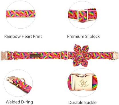 Elegant little tail LGBT Dog Collar, Rainbow Dog Collars with Flower Puppy LGBT for Pride Month Pet Flower Holiday Pet Sturdy Dog Girl Boy Adjustable Dog Collar for X-Small Dogs