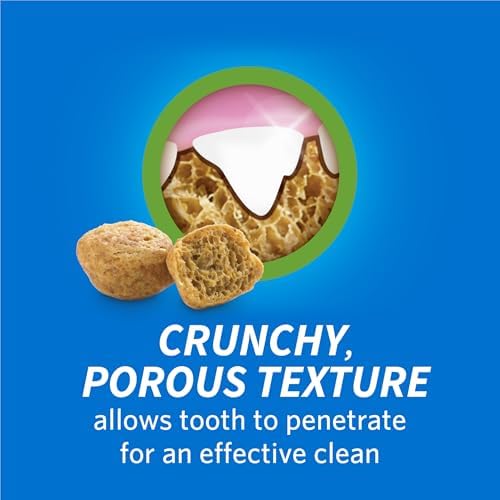 Dentalife Purina Made in USA Facilities Cat Dental Treats, Savory Salmon Flavor - 19 Ounce (Pack of 1)