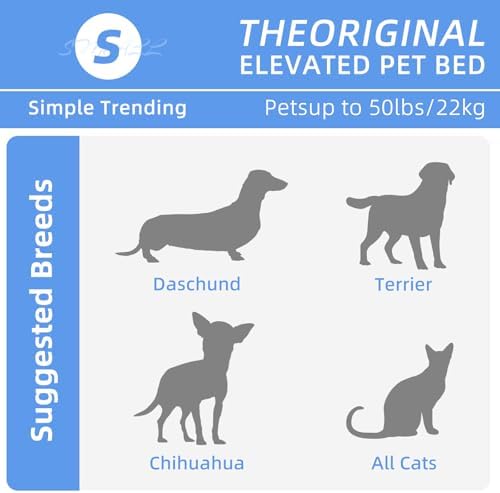 Simple Trending Raised Dog Bed for Small Dogs, Elevated Dog Cot, Grey