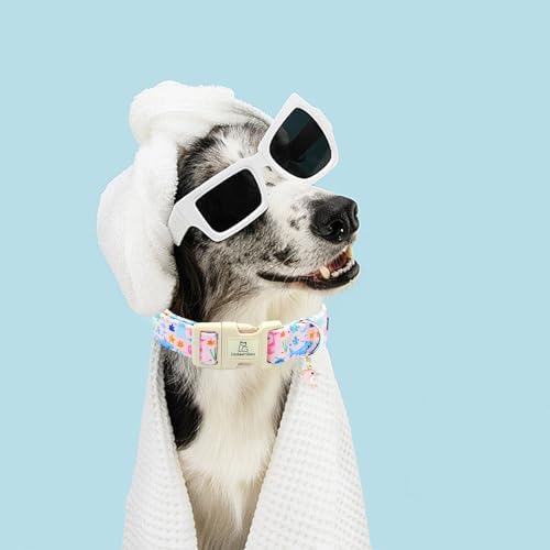 Lionheart glory Dog Collar Sea Animals Print Pink Dog Collars Male or Female Spring Summer Cute Collar Pet Gift Durable Adjustable Dog Collar for Small Dogs