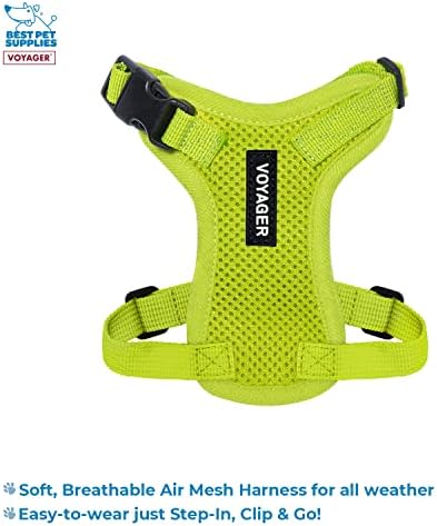 Best Pet Supplies Voyager Step-in Lock Pet Harness w Reflective Pet Leash Combo Set with Neoprene Handle 5ft - Supports Small, Medium and Large Breed Puppies/Cats - Lime Green Set, XXS